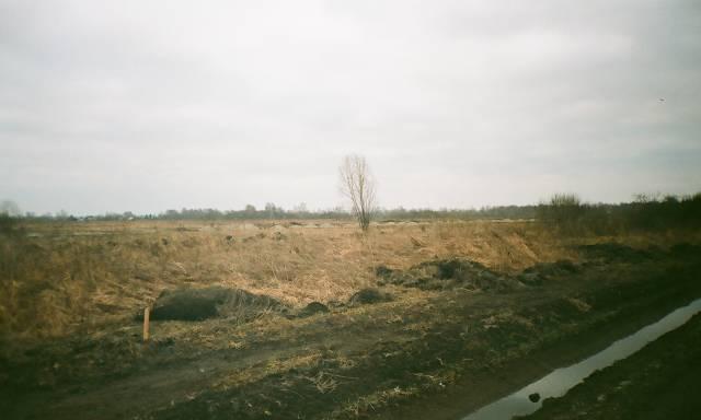 Земельный участок в Рыбачьем Новосибирск