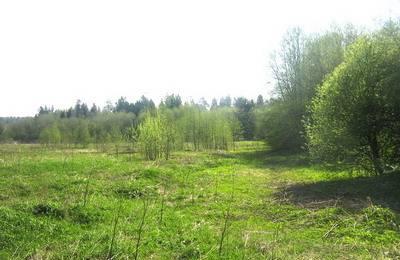 Участок в Тойворово Гатчина