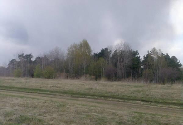 Продам 18 соток в Элите. Под коттедж. Рядом лес.  Красноярск