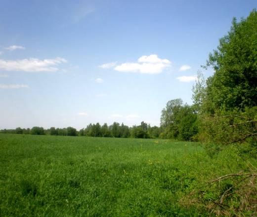 Недорого 3 га с/х в Стрешево, 150 км от Питера Тольятти