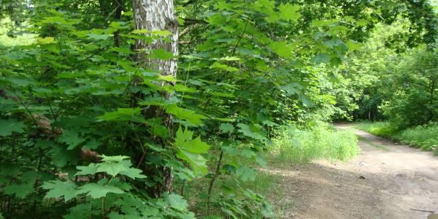 Продам участок Москва