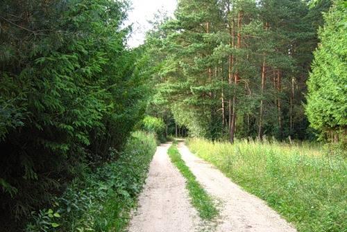 Сдаю на июль-август дом для отдыха в мо (Симферопо Москва