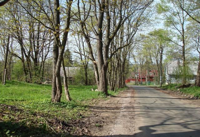 15 соток ижс. Заповедник. Газ, свет Санкт-Петербург