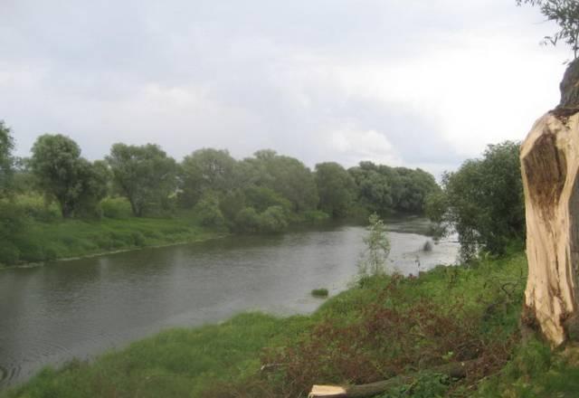 Участок 24 сотки в живописном месте, село Тиньково Жуков