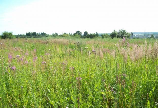 Участок 6 сот. 62 км от МКАД в д. Дятлино Дмитров