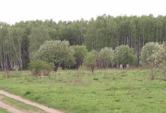 Дача  рядом с озером рядом с лесом,  в шаг до ж/д Москва