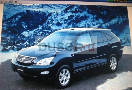 Японочки Санкт-Петербург