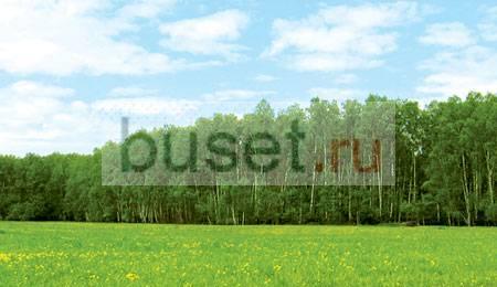 Участок 10 соток, Симферопольское направление Москва