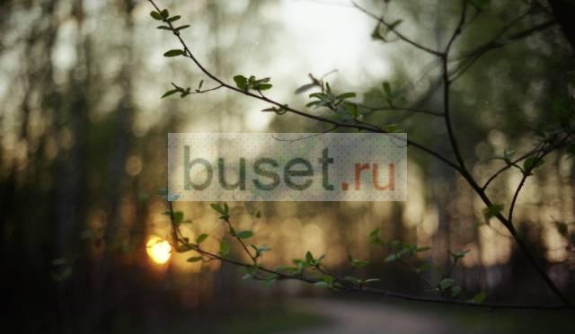 Скрипка-уроки, обучение игре. цао Москва