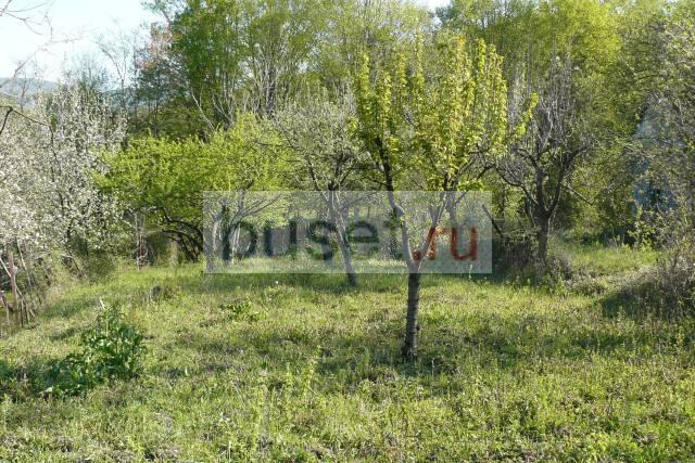 Земельный участок(дачный пригород Геленджика) Геленджик