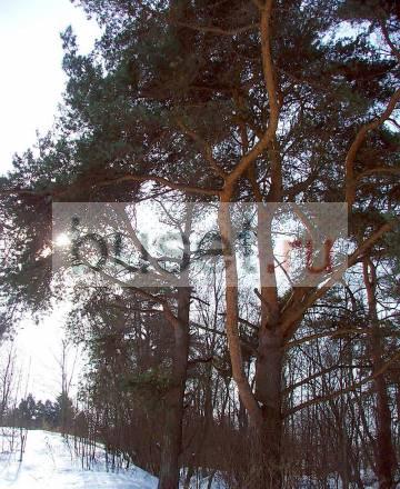 Продается  участок 30 сот. , н Москва