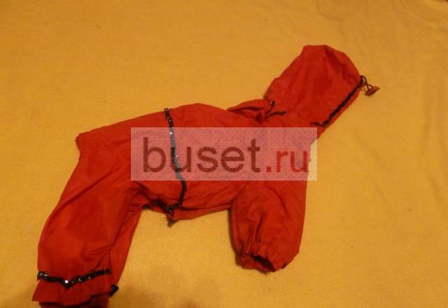 Одежда  и переноски для маленькой собаки Санкт-Петербург