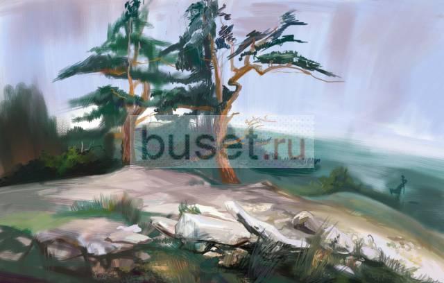 Роспись стен Самара