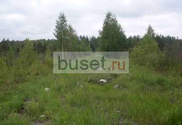 Участок в массиве Ириновка Санкт-Петербург