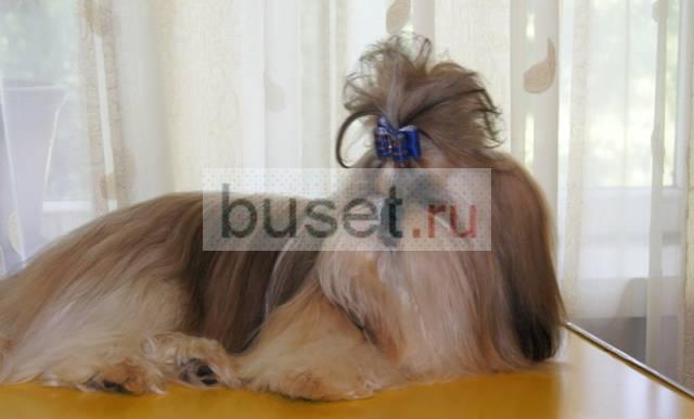 Вязка Москва