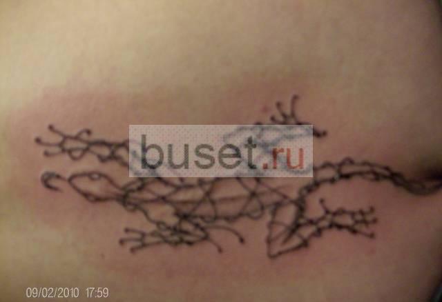 Tatoo Санкт-Петербург