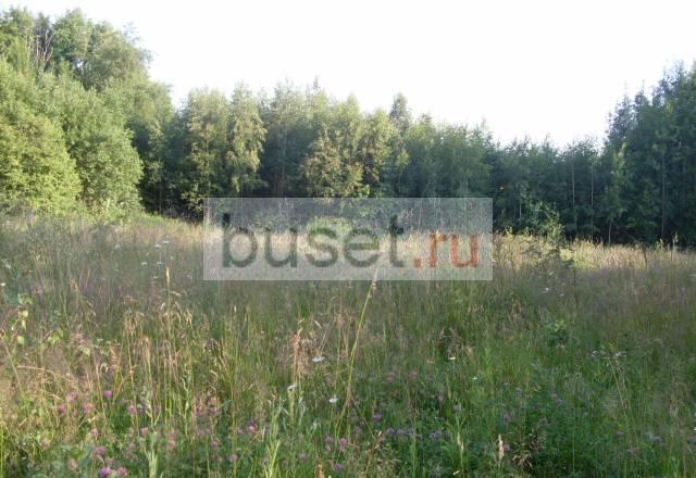 Участок на берегу залива Санкт-Петербург