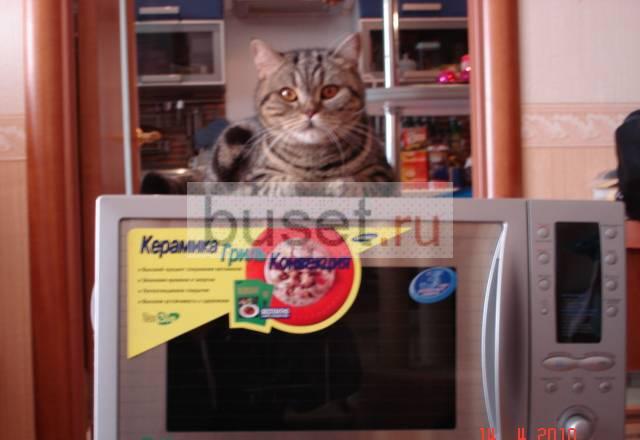 Samsung ce115ksr Санкт-Петербург