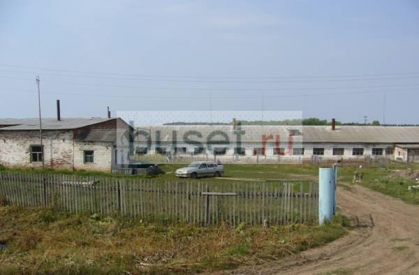 Животноводческий комплекс. Башкортостан Уфа