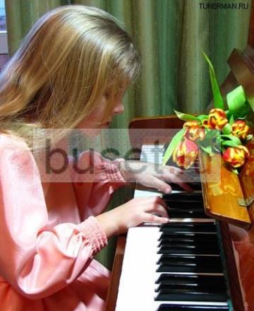 Пианино Petrof Weinbach Ronisch Zimmermann Москва