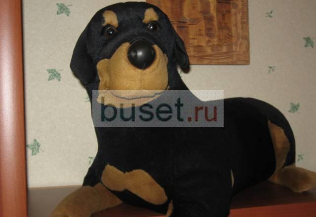 Куплю вот такую игрушку Москва