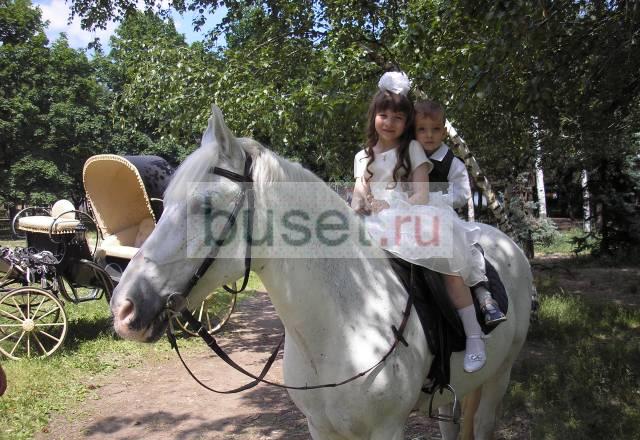 Карета, обучение верховой езде, свадьбы Ростов-на-Дону