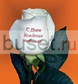 Наклейки на цветы Красноярск