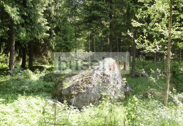 Замечательный участок в отличном садоводстве Санкт-Петербург