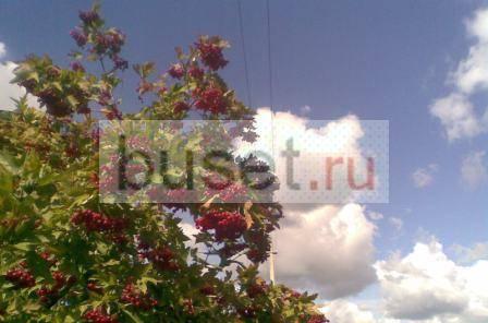 Участок с фундаментом и колодцем.Выгодно Воскресенск