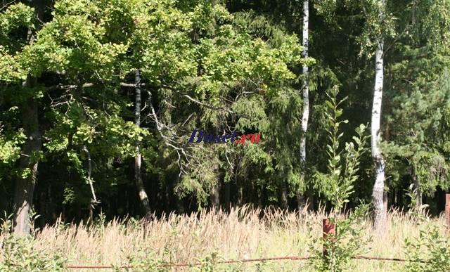 60 км Симф.ш, п.Луч Москва