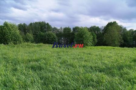 Участок 25 соток, первая линия Правдинского озера Выборг