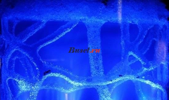 Муравьиная ферма Новосибирск