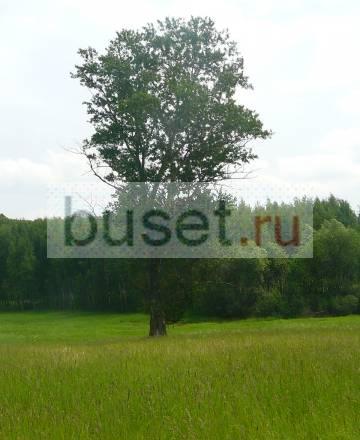 Участок 6 соток 10км от МКАД  по Егорьевскому ш Москва