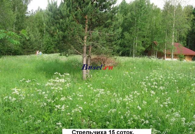 15 с.в бору.Вблизи залива.145 км.Дмитр.ш.Деревня Москва