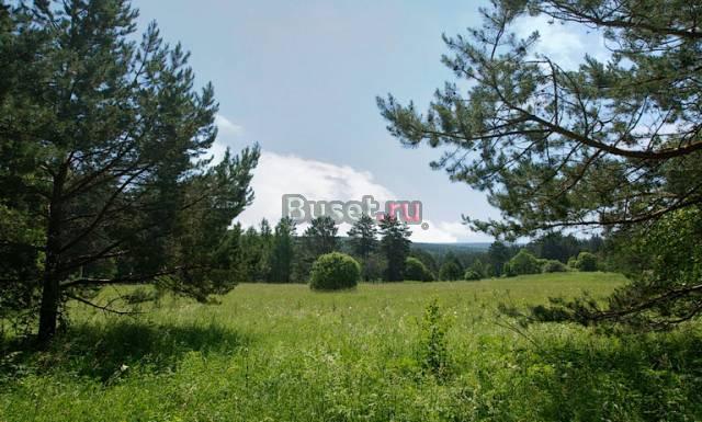 Земля от 4 соток от 25 тыс рублей за сотку Москва