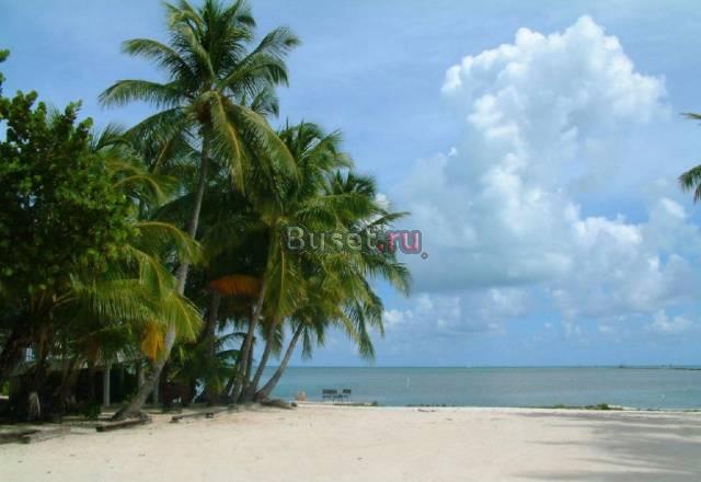 Куплю плеер iPod Москва