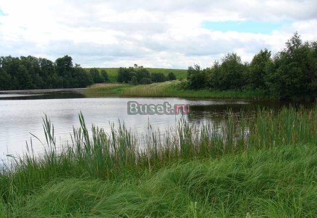 25 сот по Новориж. ш. в деревне /пмж/лес-100м река Москва