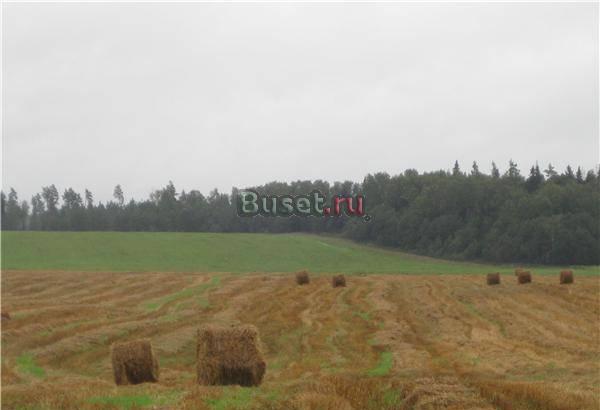 Продаю участок, Новорижское ш, Москва-река Звенигород