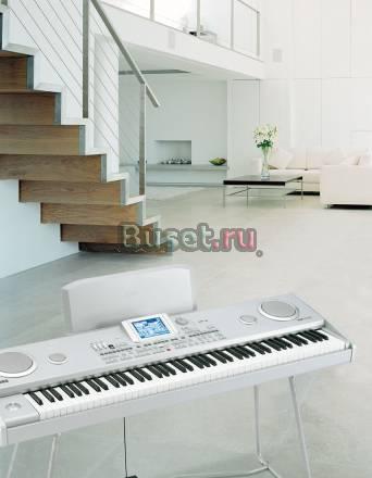 Синтезатор - цифровое пиано korg Pa588 Москва