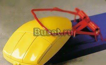 Набор текстов быстро, недорого Москва