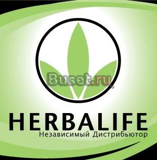 Дистрибьютор Гербалайф-продукты и бизнес Москва