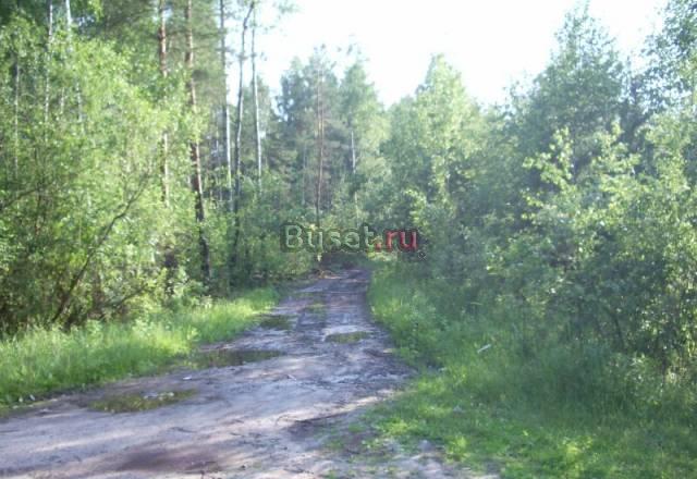 Продаю участок 15 соток под дачу в Шатуре Шатура