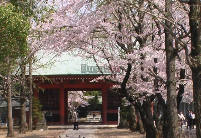 Гид по токио Москва