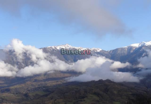 Cрочно Фото с участка Сочи