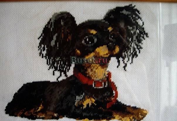 Картина "Той Терьер" Москва