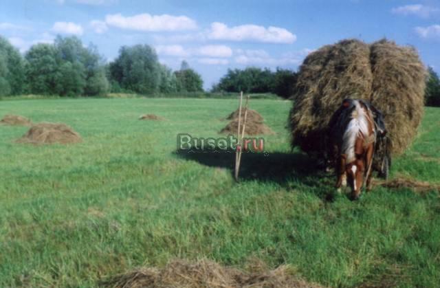 10 га, земельный участок, калининградская обл Москва