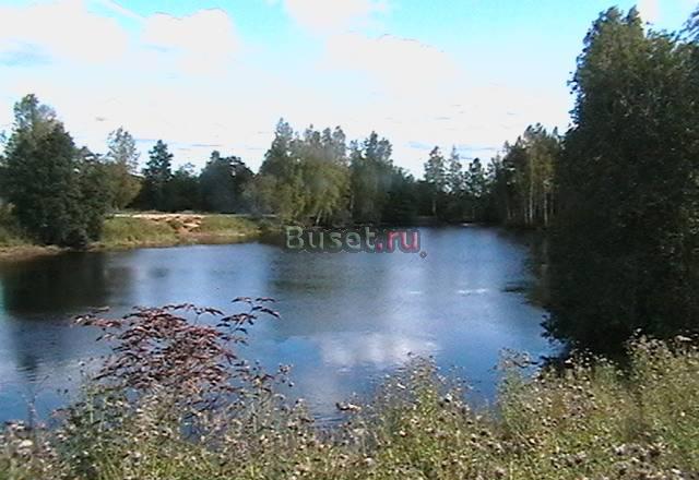 Кобрино.17 сот ижс.река-200м Гатчина