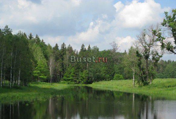 Участок у озера и леса, 29 км, Ярославское ш Москва