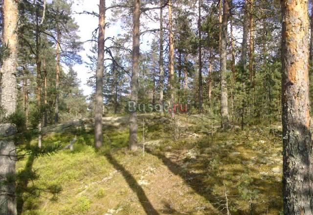 Земельный участок Санкт-Петербург