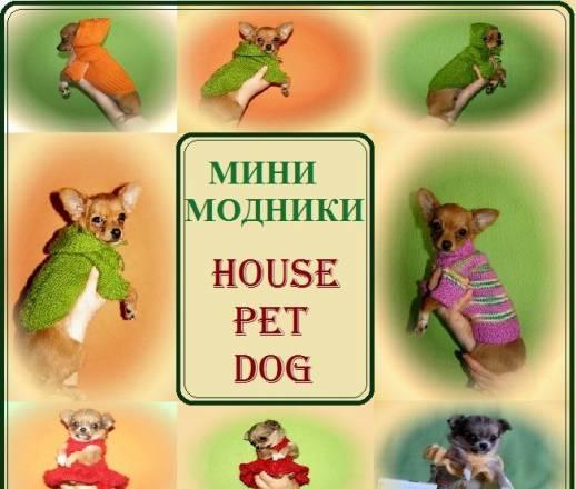 Одежда для собак "Минимодники" Москва